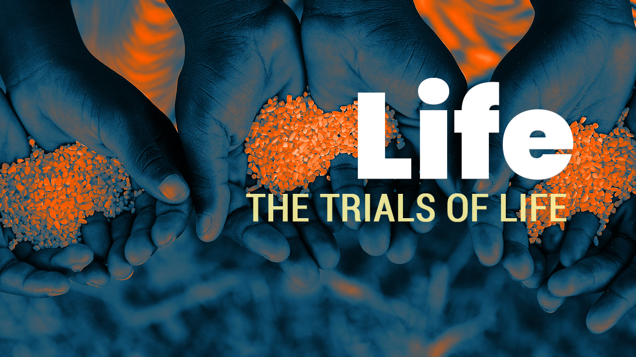 Life | The Trials of Life
